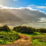 Innovations in Automotive Die Lubrication Techniques