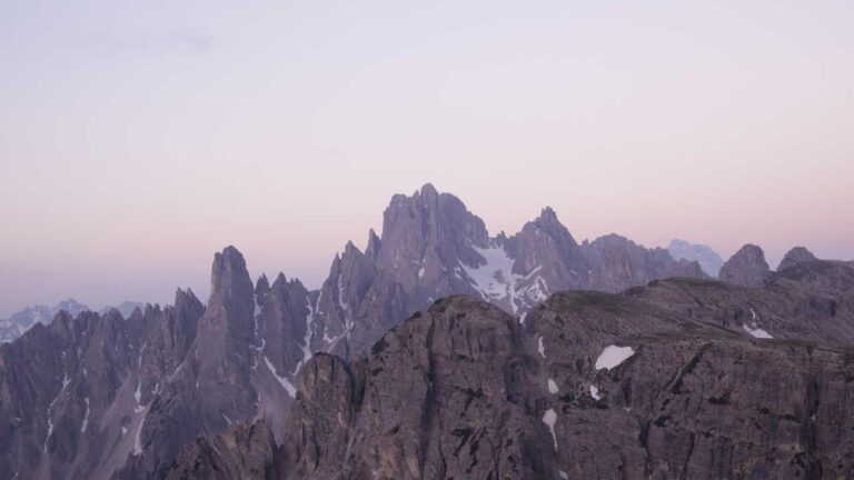 Is Cricbet99 Vom A Real Website?