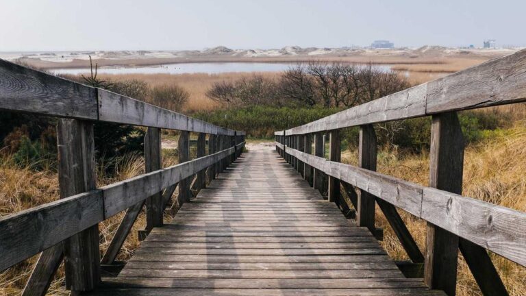 What Is The 99 Exchange Number Used For?